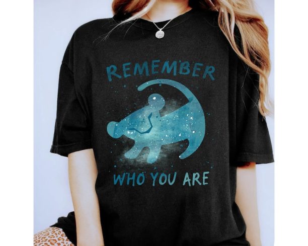 Disney The Lion King Simba Remember Who You Are Splatter Shirt, Magic Kingdom Trip Unisex T-shirt Family Birthday Gift Adult Kid Toddler Tee