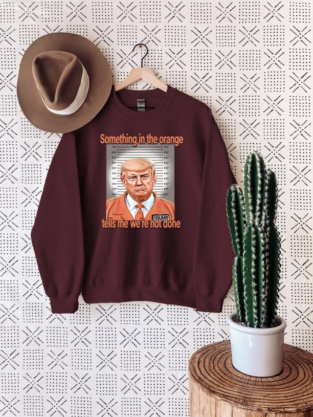 Trump Mugshot 2023, Donald Trump Mugshot Sweatshirt, Trump Meme Hoodie, Political Shirt, Trump 2024