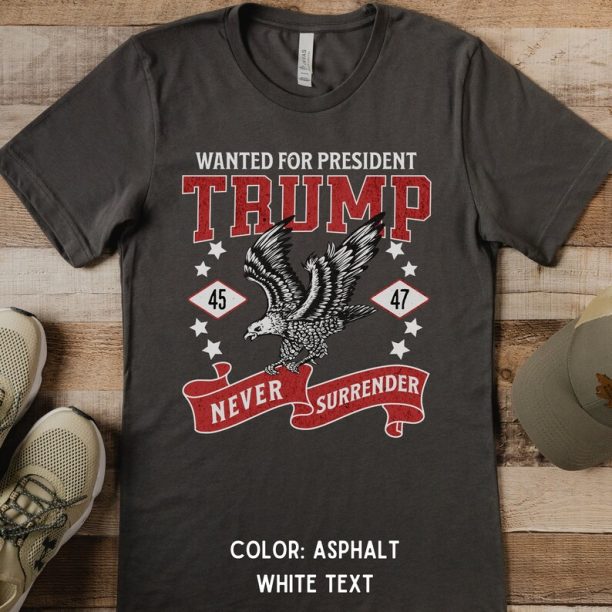 Wanted President Trump Shirt, Donald Trump Election 2024 Hoodie, USA American Patriot Sweatshirt Men