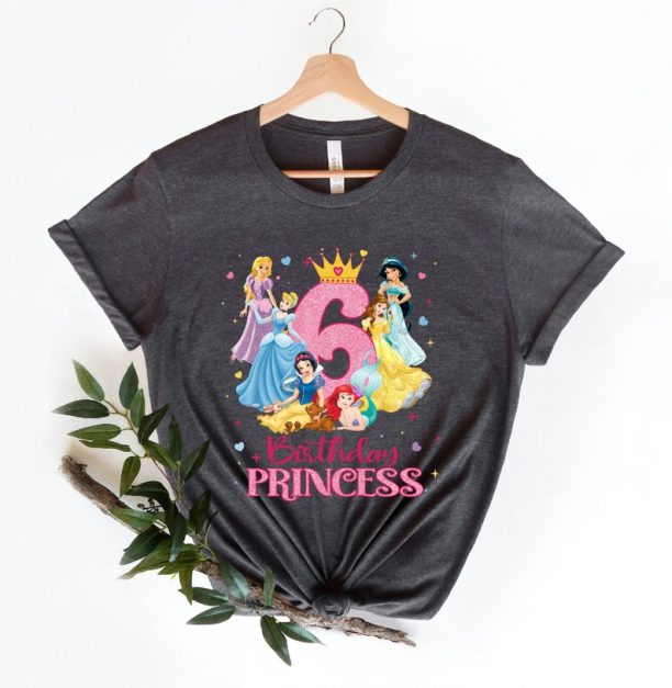 Sixth Birthday Princess Shirt, Disney Princess Birthday Shirt, Princess Birthday Shirt, Girls Birthday Shirt