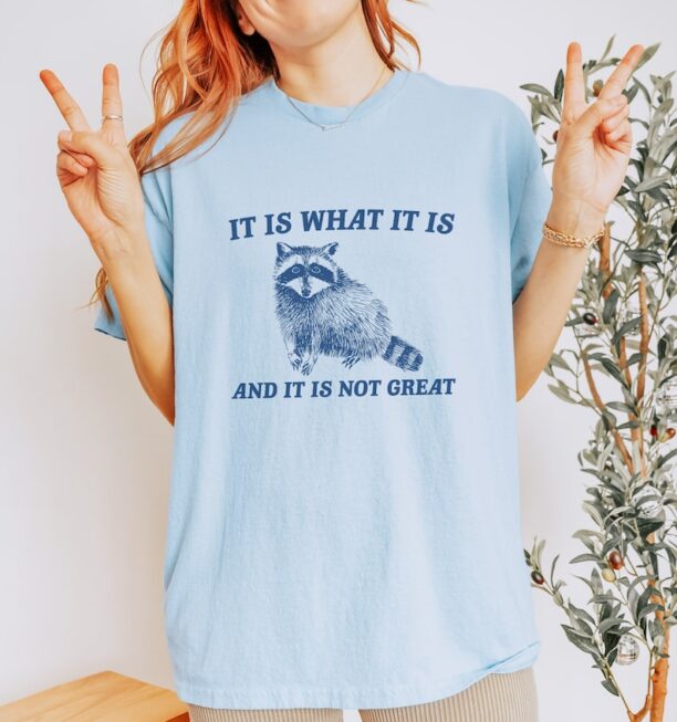 It Is What It Is And It Is Not Great - Vintage Drawing T Shirt, Raccoon Meme T Shirt, Funny Trash Panda T Shirt