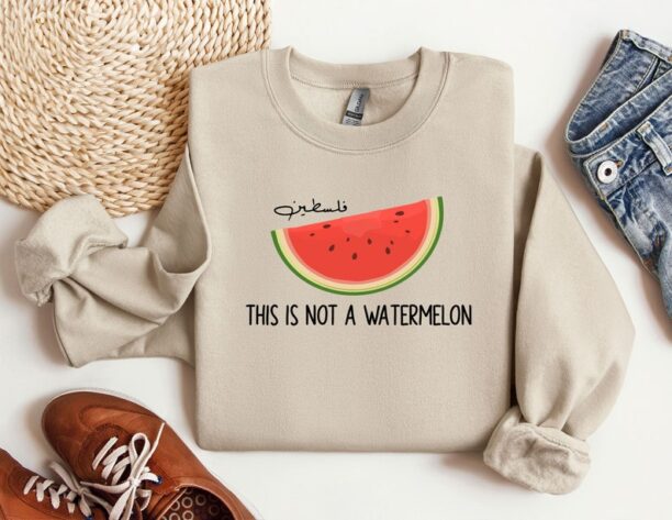 This is Not a Watermelon Sweatshirt, Free Palestine Sweatshirt, Palestine Hoodie, Activist Sweat, Gaza Hoodie