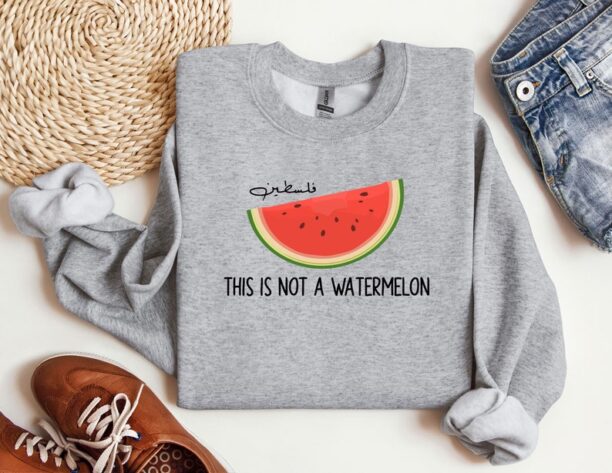 This is Not a Watermelon Sweatshirt, Free Palestine Sweatshirt, Palestine Hoodie, Activist Sweat, Gaza Hoodie