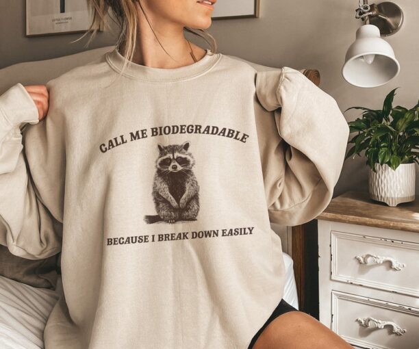 I Break Down Easily, Funny Sweatshirt, Funny Crewneck, Raccoon Meme Sweatshirt, Cartoon Meme Top