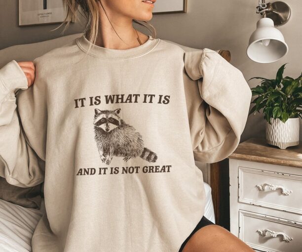 It Is What It Is And It Is Not Great, Funny Sweatshirt, Raccoon Sweatshirt, Cartoon Meme Top, Vintage Cartoon Sweater