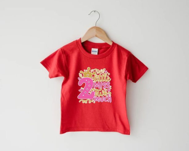 Little Miss Two Much T-Shirt, Two Year Old, Toddler Girl Gift,2nd Birthday Girl,2nd Birthday Outfits,Birthday Girl Gift