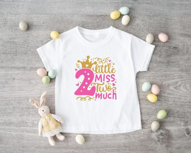 Little Miss Two Much T-Shirt, Two Year Old, Toddler Girl Gift,2nd Birthday Girl,2nd Birthday Outfits,Birthday Girl Gift