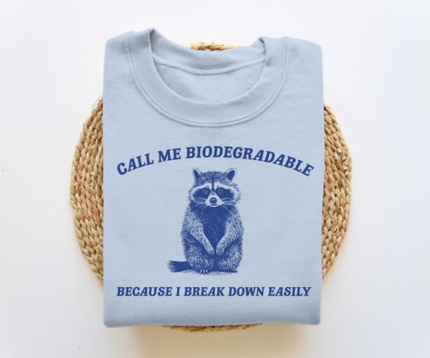 I Break Down Easily, Funny Sweatshirt, Funny Crewneck, Raccoon Meme Sweatshirt, Cartoon Meme Top