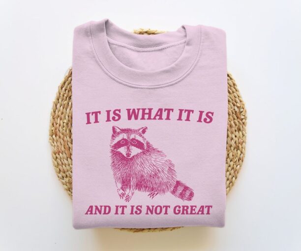 It Is What It Is And It Is Not Great, Funny Sweatshirt, Raccoon Sweatshirt, Cartoon Meme Top, Vintage Cartoon Sweater