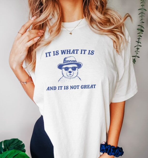 It Is What It Is And It Is Not Great - Unisex T Shirt, Funny T Shirt, Meme T Shirt, Cartoon Bear T Shirt