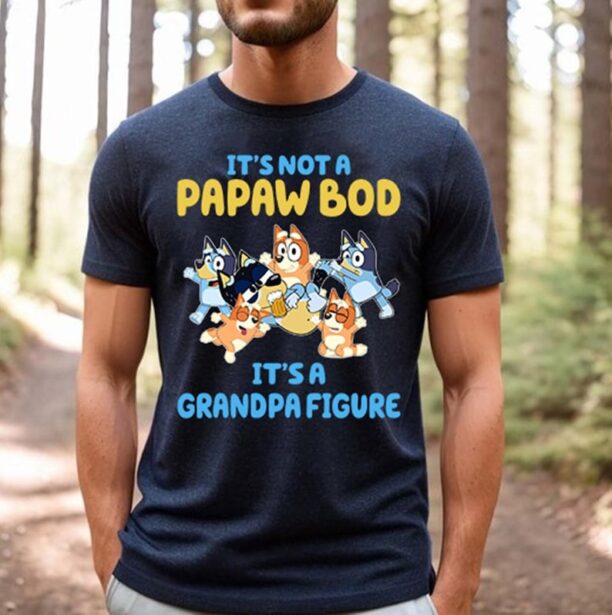 Bluey Dad T-Shirt, It's Not a Dad Bod It's a Father Figure, Bluey Family Shirt, Bluey Cartoon T-Shirt