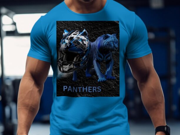 Panthers Football Team Helmet, NFL Mascot T-Shirt, Football T-Shirt, Football Sweatshirt, Football Hoodie