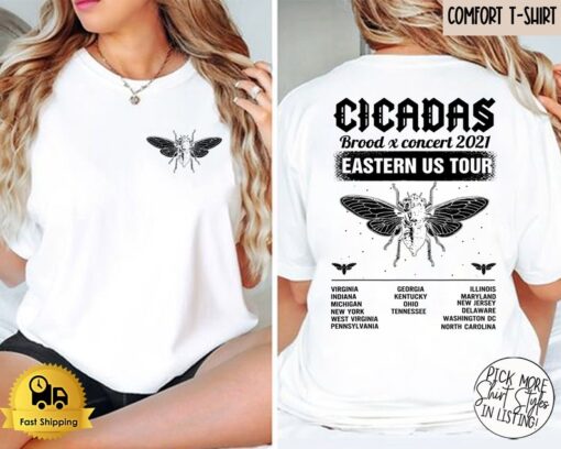 Cicada Concert Tour 2024 Comfort Colors Shirt Year Of Cicada Tshirt