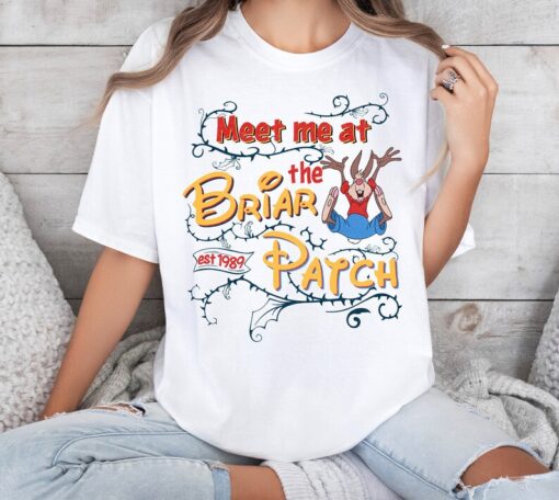 Disney Splash Mountain Shirt, Meet Me at The Briar Patch Shirt