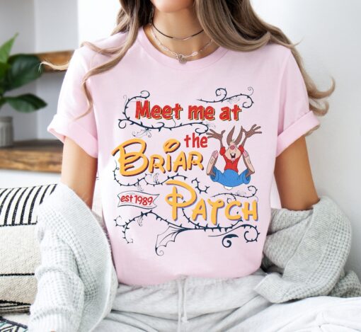 Disney Splash Mountain Shirt, Meet Me at The Briar Patch Shirt